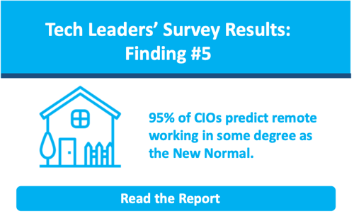 CIO Survey Infographic Banner 5