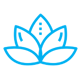 Free Yoga Classes